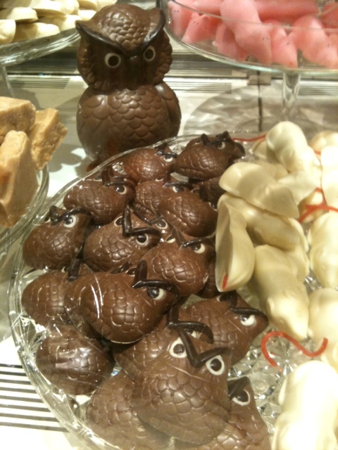 Chocolate Owls from Fortnum and Mason for Halloween 2010