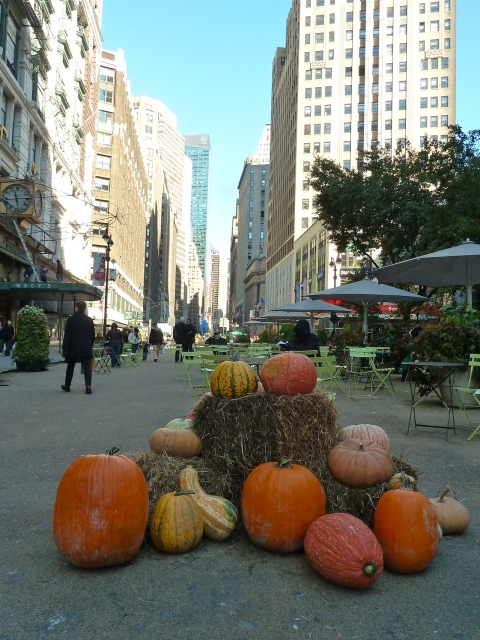 Pumpkins and straw at Herald Square look more Harvest Festival than Halloween 