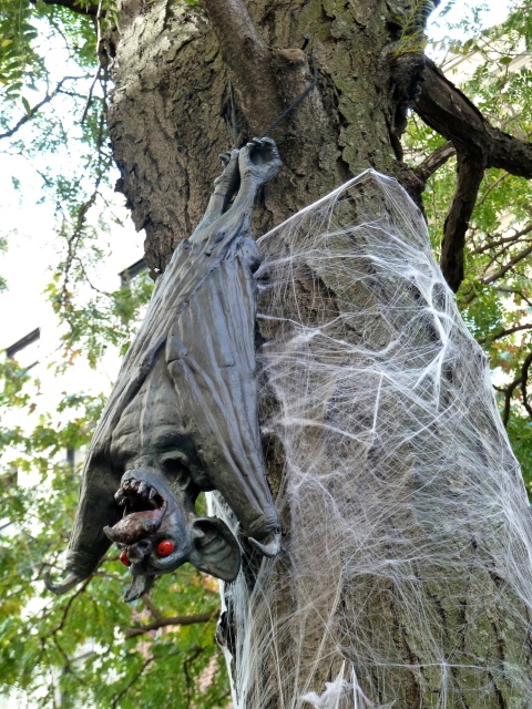 Bat decorated tree in a New York street for Halloween 2011